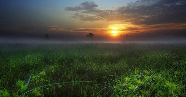 عکس غروب آفتاب در طبیعت