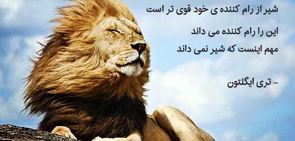 بهترین عکس شیر