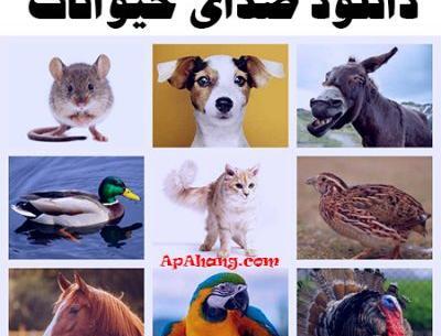 عکس حیوانات همراه با صدا