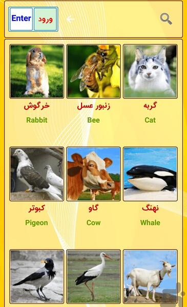 عکس حیوانات همراه با صدا