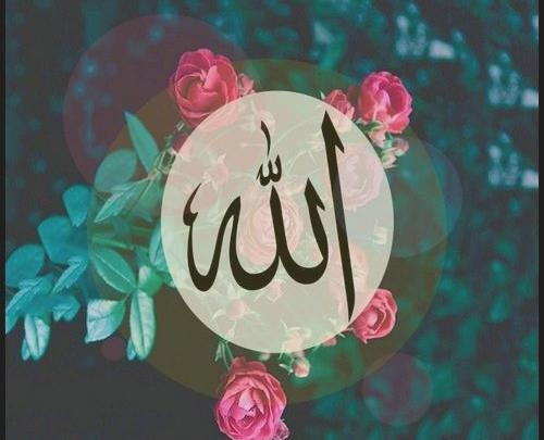 عکس عاشقانه به اسم ذبیح
