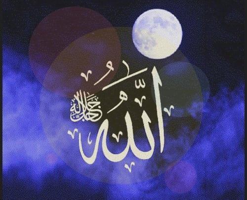 عکس عاشقانه به اسم ذبیح