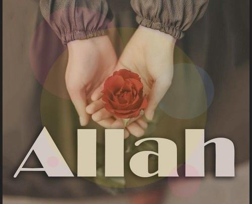 عکس عاشقانه به اسم ذبیح