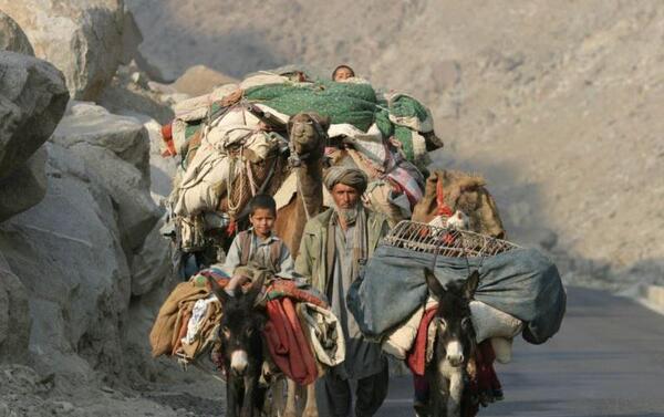 عکس های کوچی افغانستان