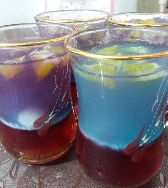 عکس ژله فنجانی
