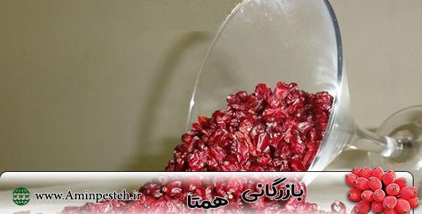 عکس زرشک برای پروفایل
