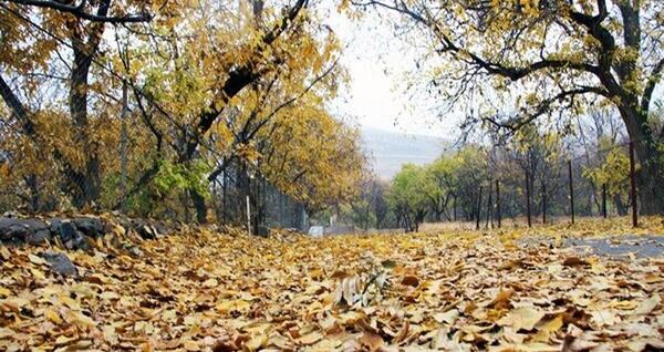 عکس از طبیعت جاسب