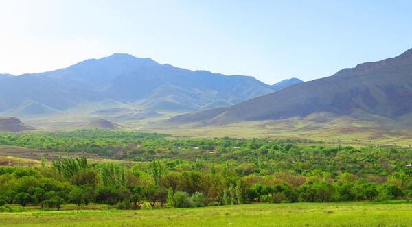 عکس از طبیعت جاسب