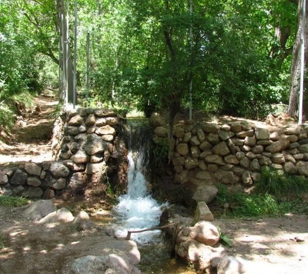عکس از طبیعت جاسب