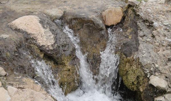 عکس از طبیعت جاسب