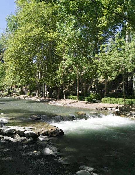 عکس طبیعت در ظهر