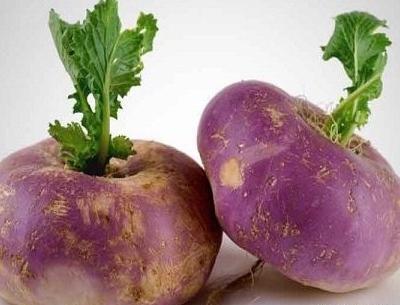 عکس کاشت شلغم