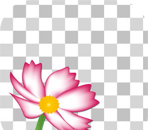 ذخیره عکس پس زمینه گوشی