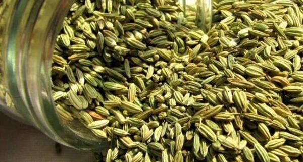 عکس کاشت زیره