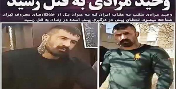 عکس وحید مرادی کشتنش