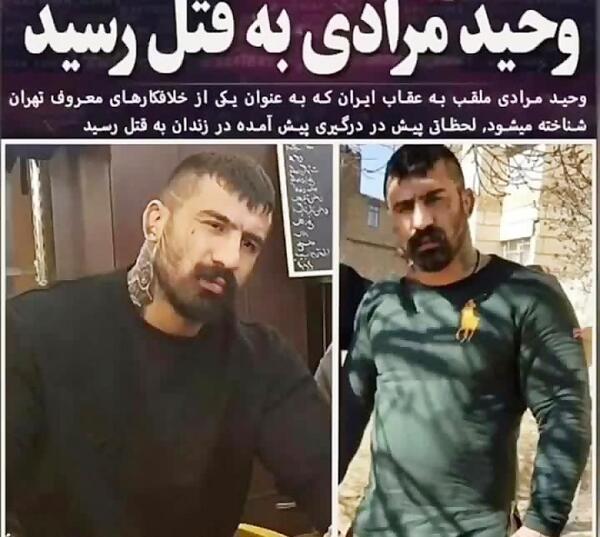 عکس وحید مرادی کشتنش