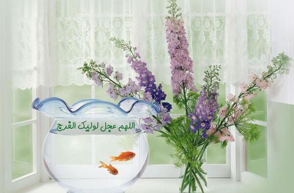 عکس سال نو امام زمانی