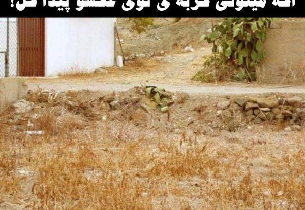 عکس پیدا کن