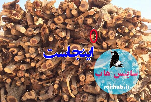 عکس پیدا کن