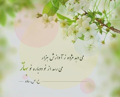 عکس بهاری که خردادش به نام من است