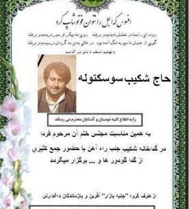 عکس سوسک توله