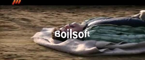 عکس سوسک توله