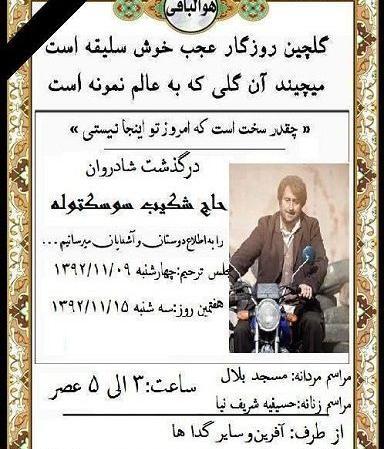 عکس سوسک توله