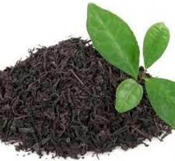 عکس چای خشک