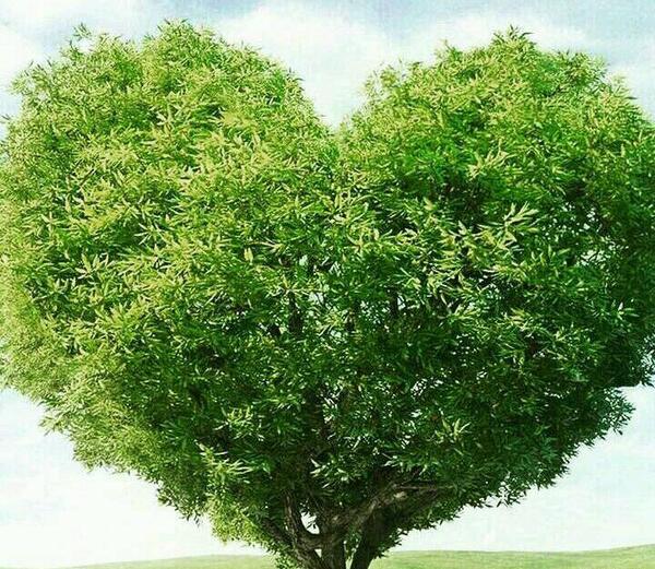 عکس طبیعت زیبا در اینستاگرام