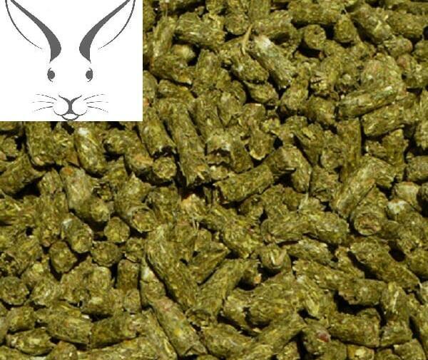 عکس یونجه خرگوش