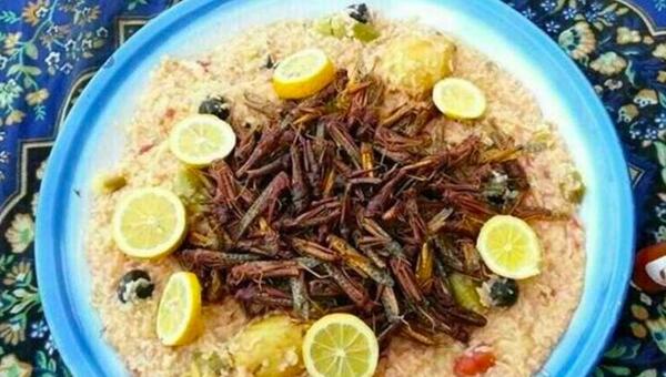 عکس سوسک خورشت