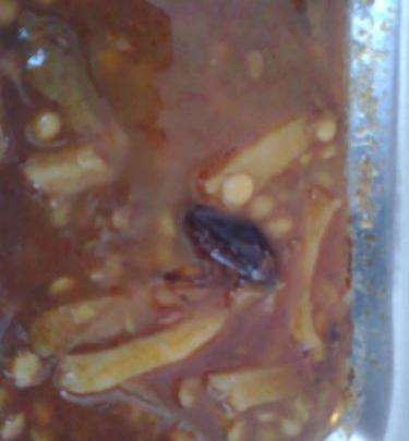 عکس سوسک خورشت