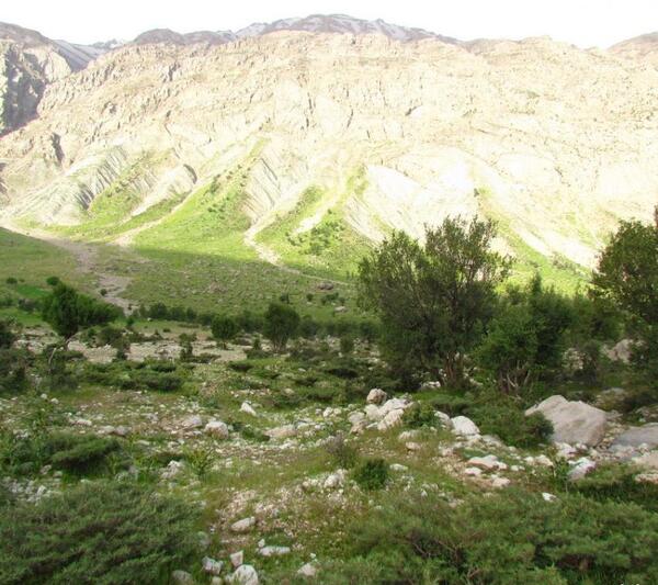 عکس روستای لبد کوهرنگ