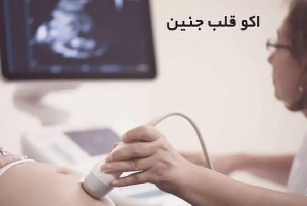 عکس قلب جنین