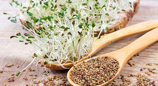 عکس عرق یونجه