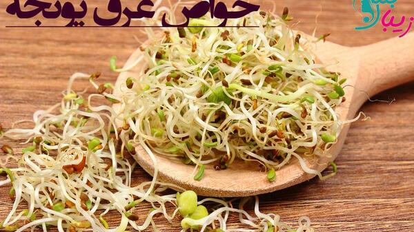 عکس عرق یونجه