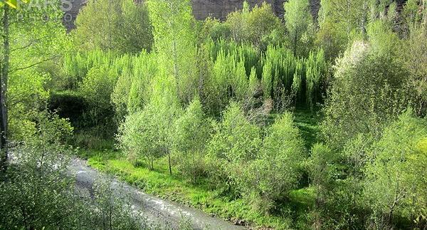 عکس های زیبا از طبیعت آذربایجان شرقی