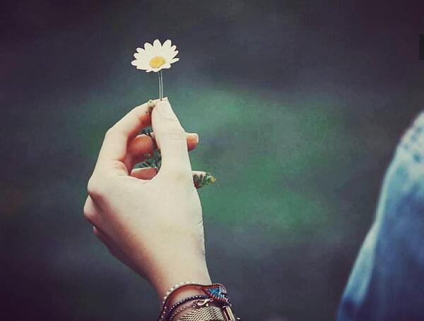 عکس های هنری