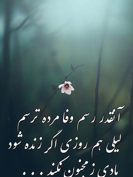 عکس نوشته های لیلی و مجنون