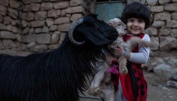 عکس روستا حاجی آباد