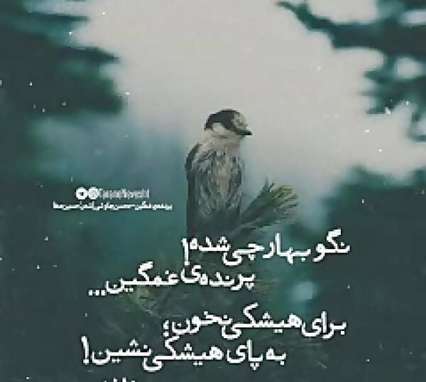 عکس وضعیت واتساپ چاوشی