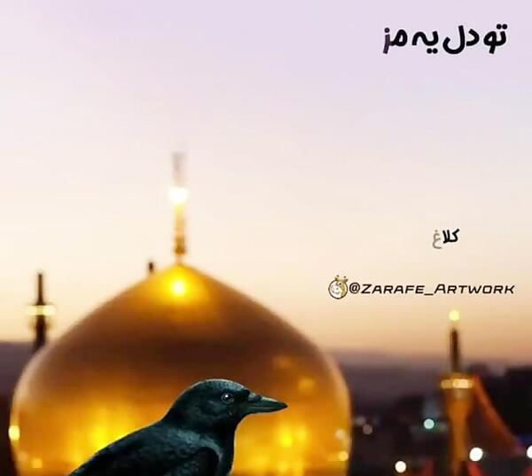 عکس وضعیت واتساپ چاوشی