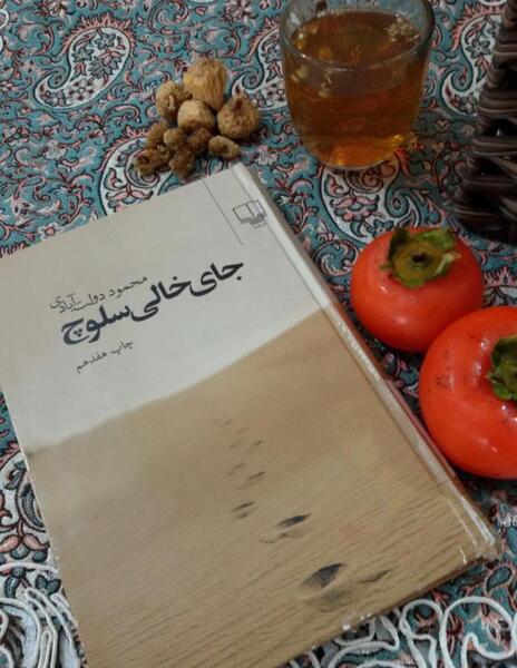 عکس کتاب جای خالی سلوچ