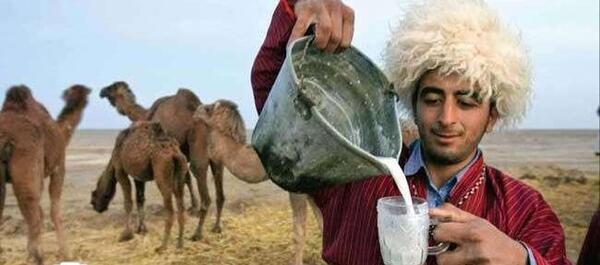 عکس شیر شتر مرغ