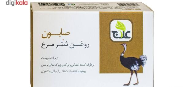 عکس شیر شتر مرغ