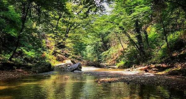 عکس جاهای دیدنی حومه تهران
