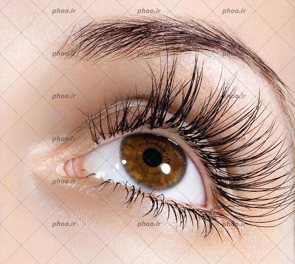 عکس چشم کاشت مژه