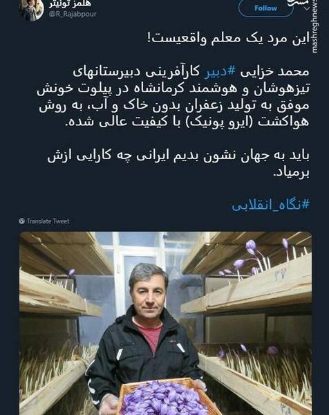 عکس واقعی زعفران