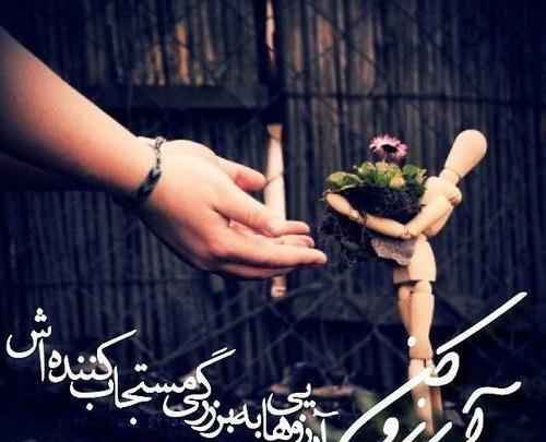 عکس نوشته خدا لعنت کن