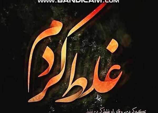عکس غلط کردم عشقم